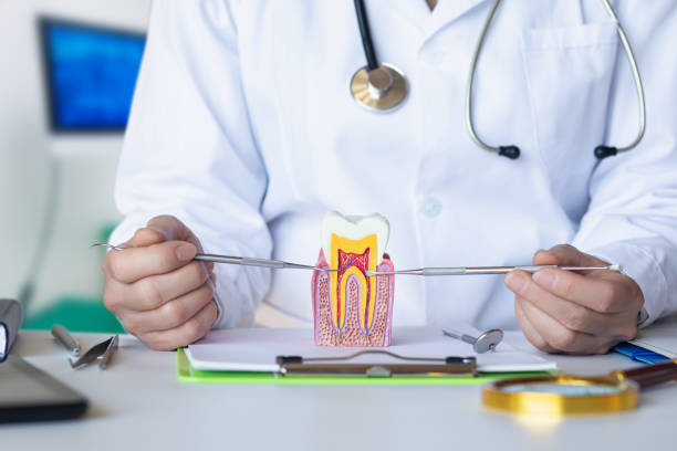 Best Weekend Emergency Dentist in Perkins, OK